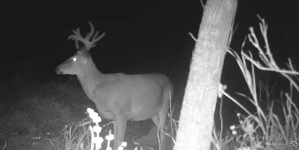 $1,700,000 | 4919 Ferguson Road, Perry, KS 66073