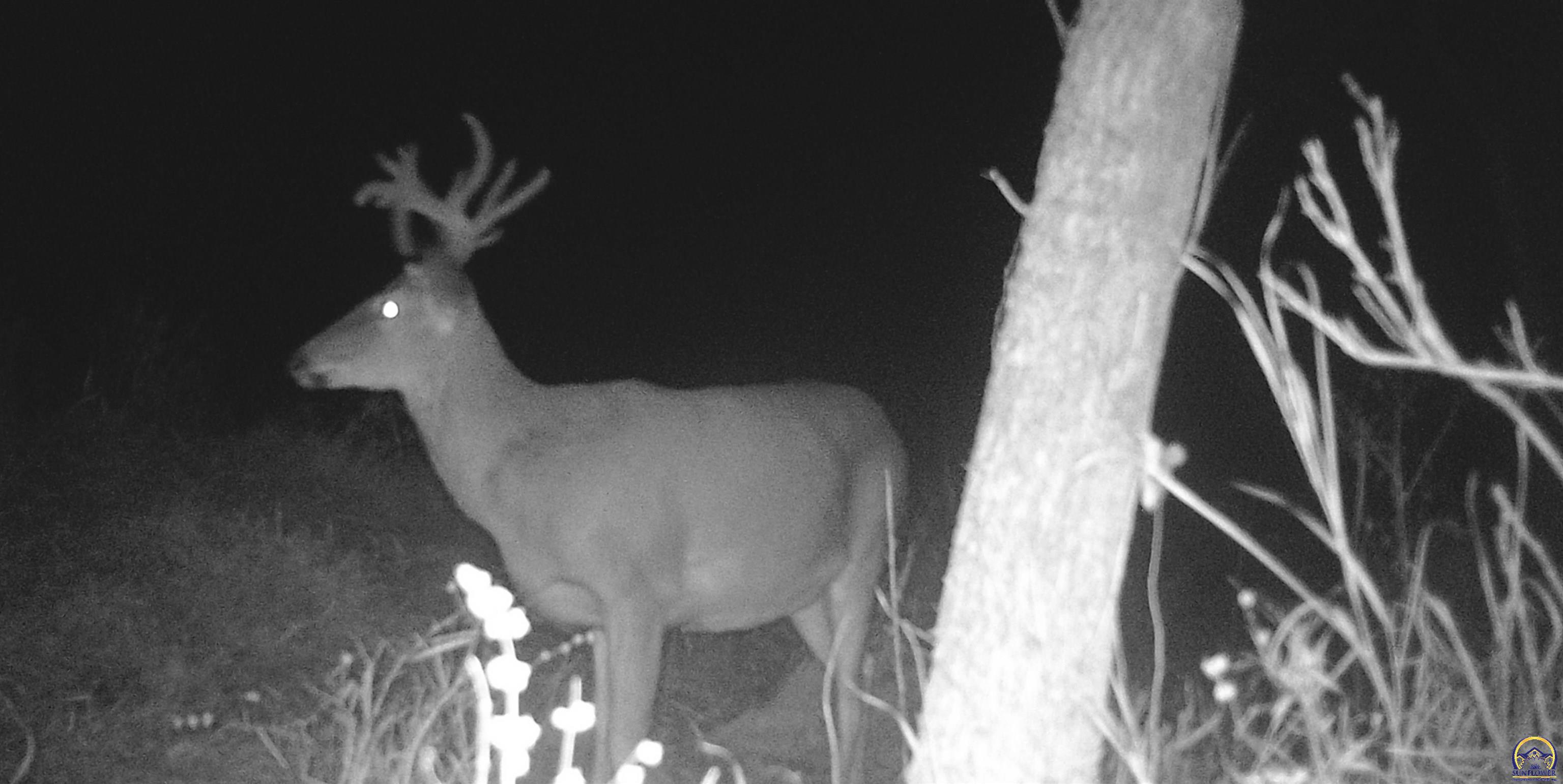 4919 Ferguson Road Perry, KS 66073 - Photo 48 of 66