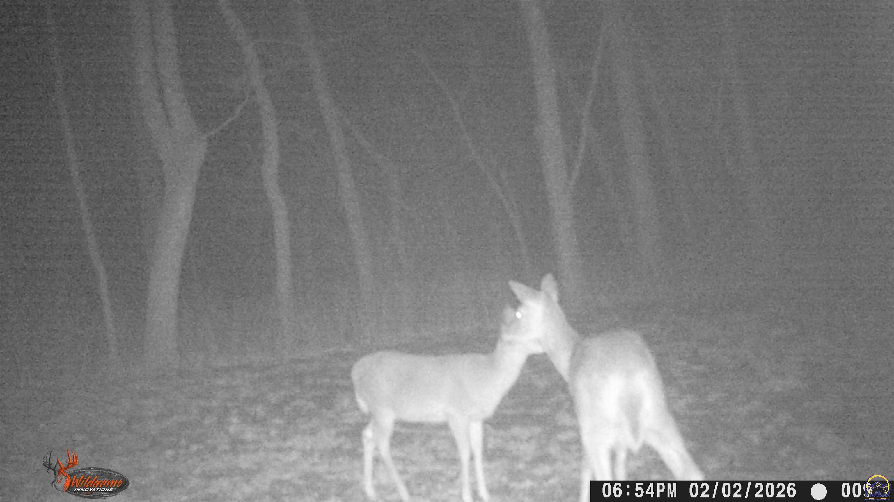 4919 Ferguson Road Perry, KS 66073 - Photo 49 of 66