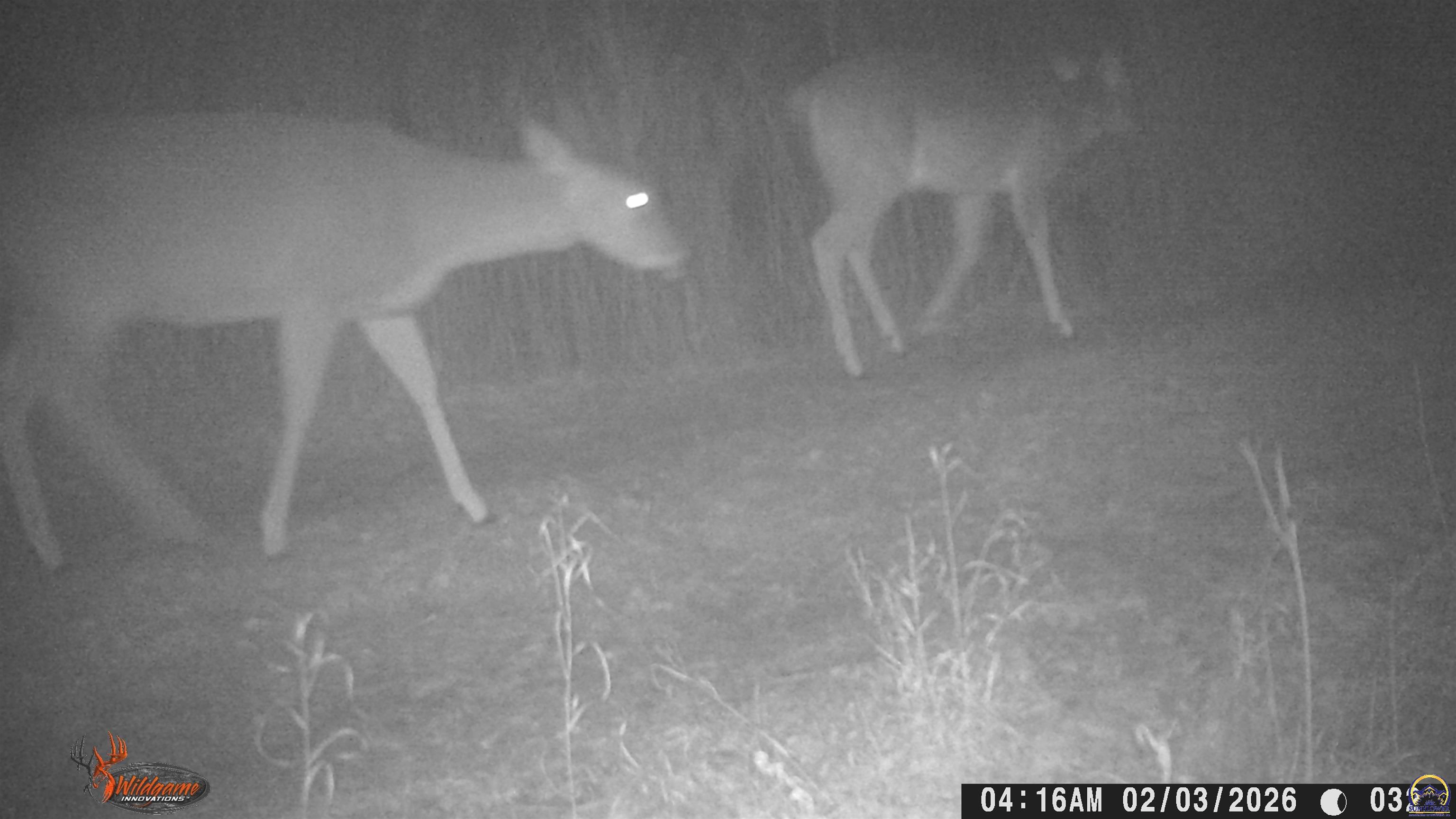 4919 Ferguson Road Perry, KS 66073 - Photo 51 of 66