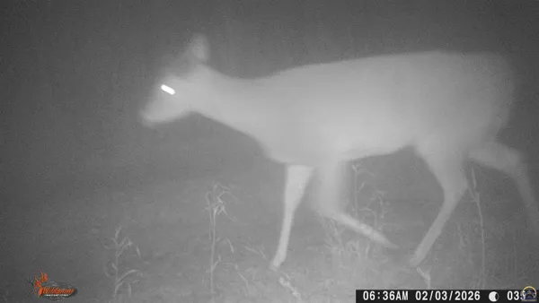 $1,700,000 | 4919 Ferguson Road, Perry, KS 66073