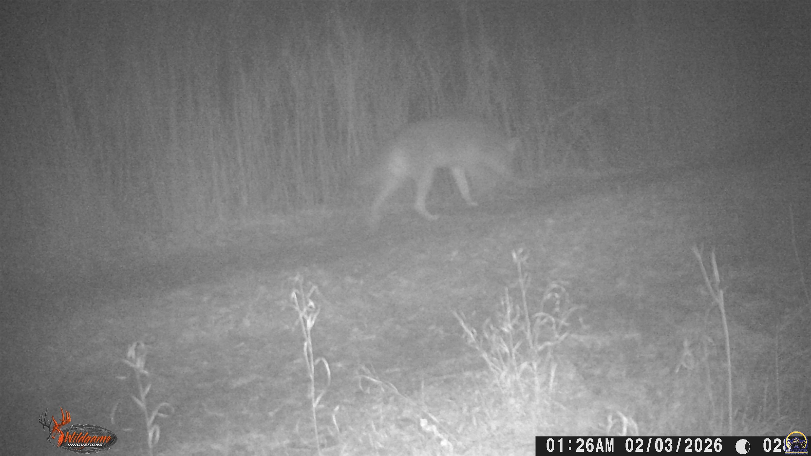 4919 Ferguson Road Perry, KS 66073 - Photo 53 of 66