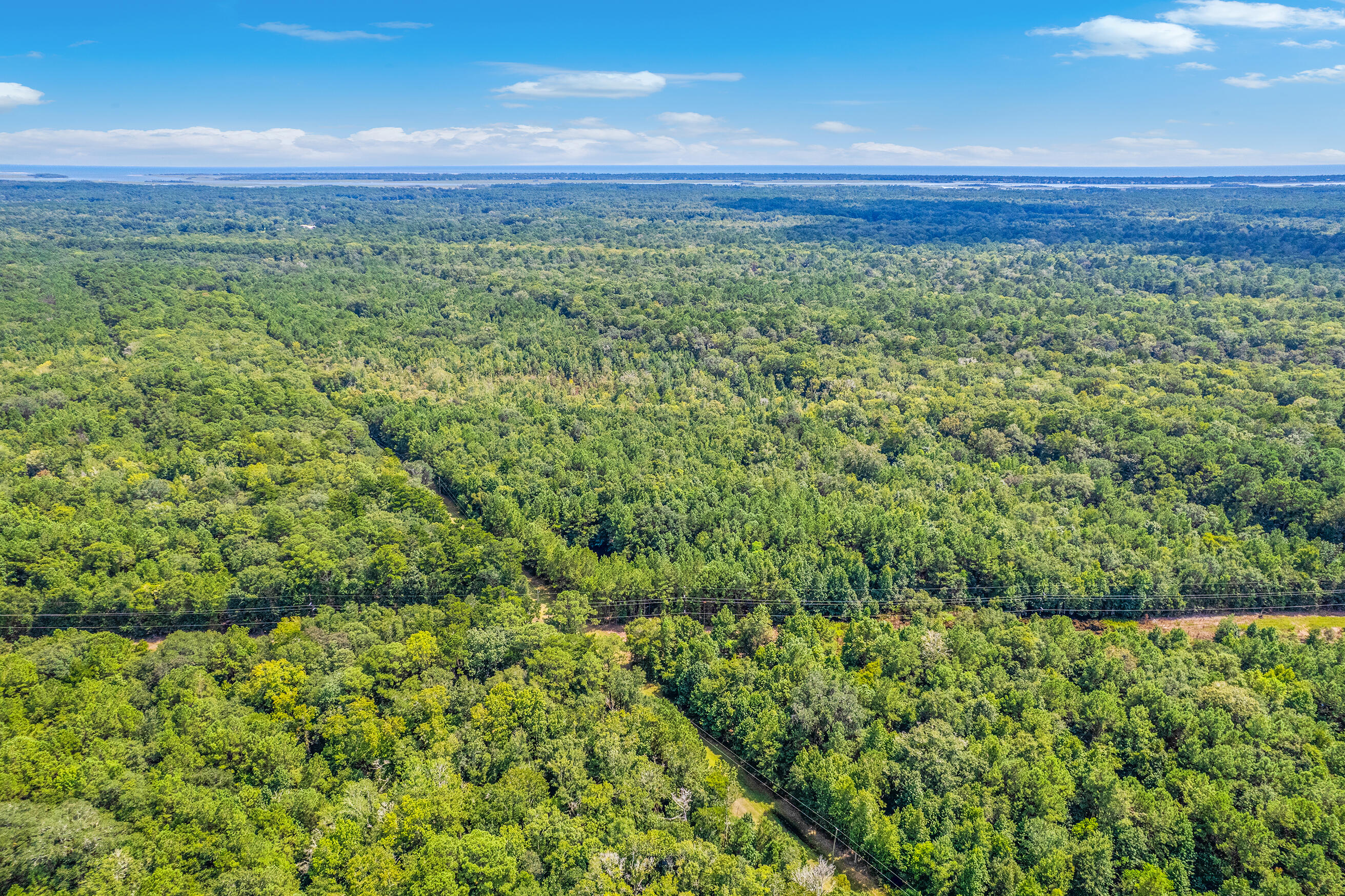2 Shadow Pond Road Johns Island, SC 29455 - Photo 16 of 21 Zyndicate2441
