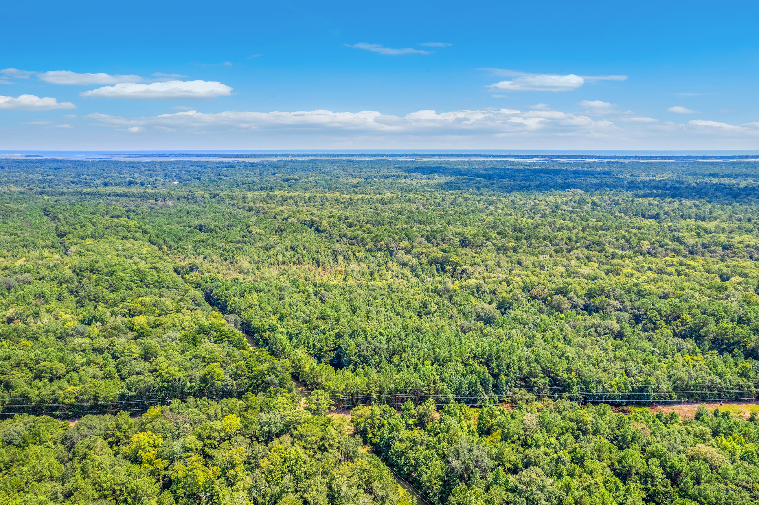2 Shadow Pond Road Johns Island, SC 29455 - Photo 17 of 21 Zyndicate2442