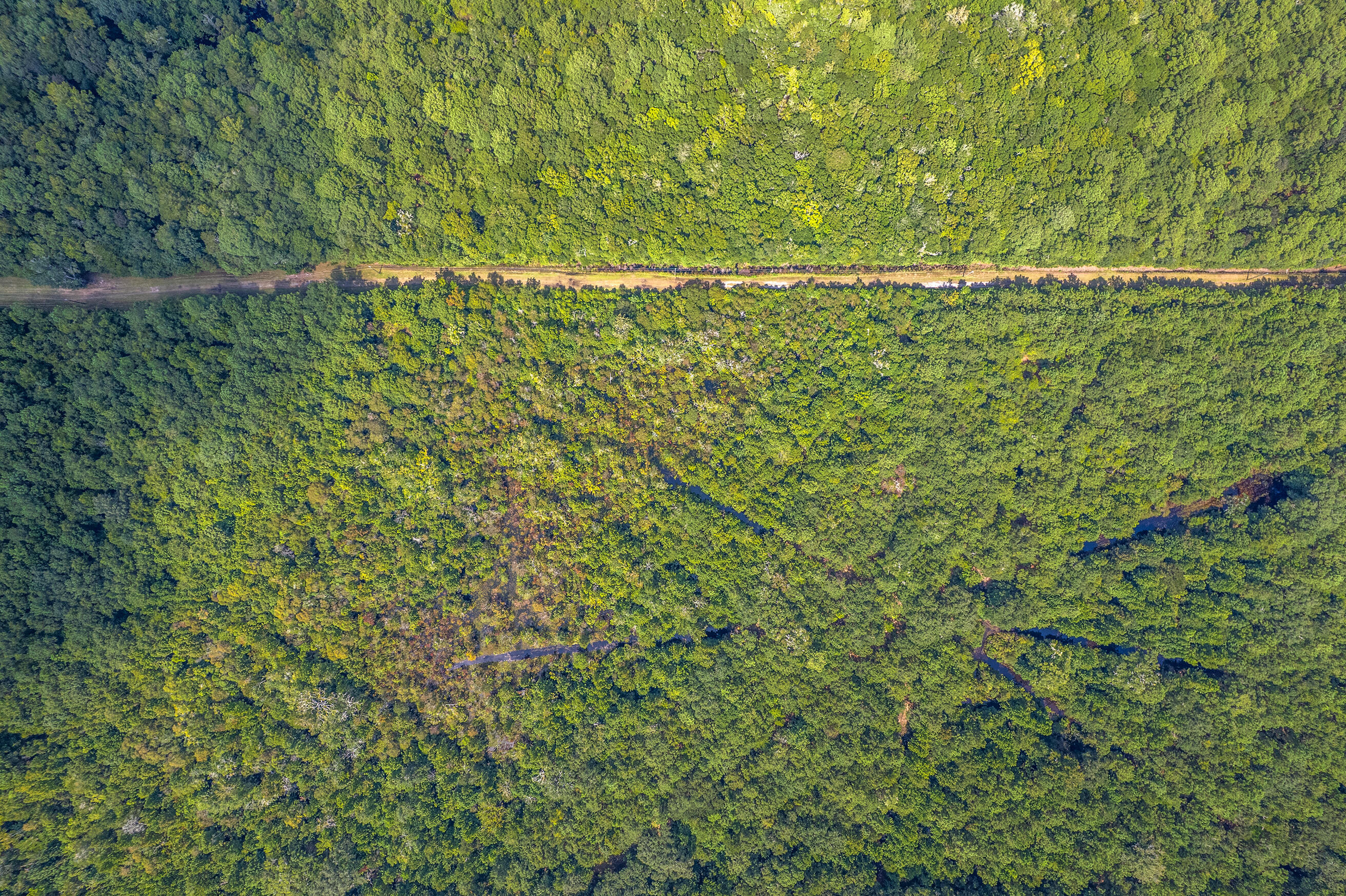 2 Shadow Pond Road Johns Island, SC 29455 - Photo 21 of 21 Zyndicate2445