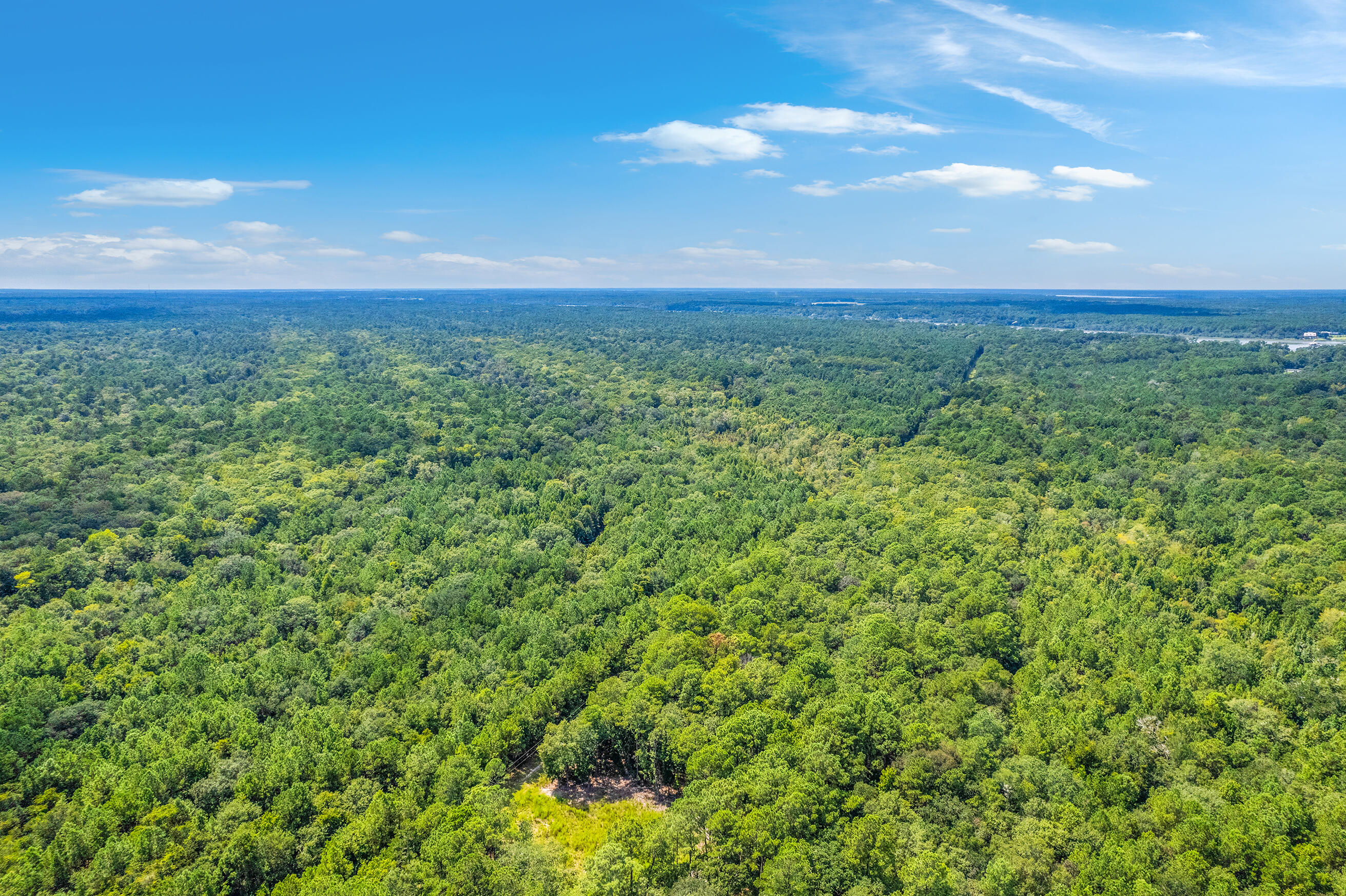 2 Shadow Pond Road Johns Island, SC 29455 - Photo 3 of 21 Zyndicate2432
