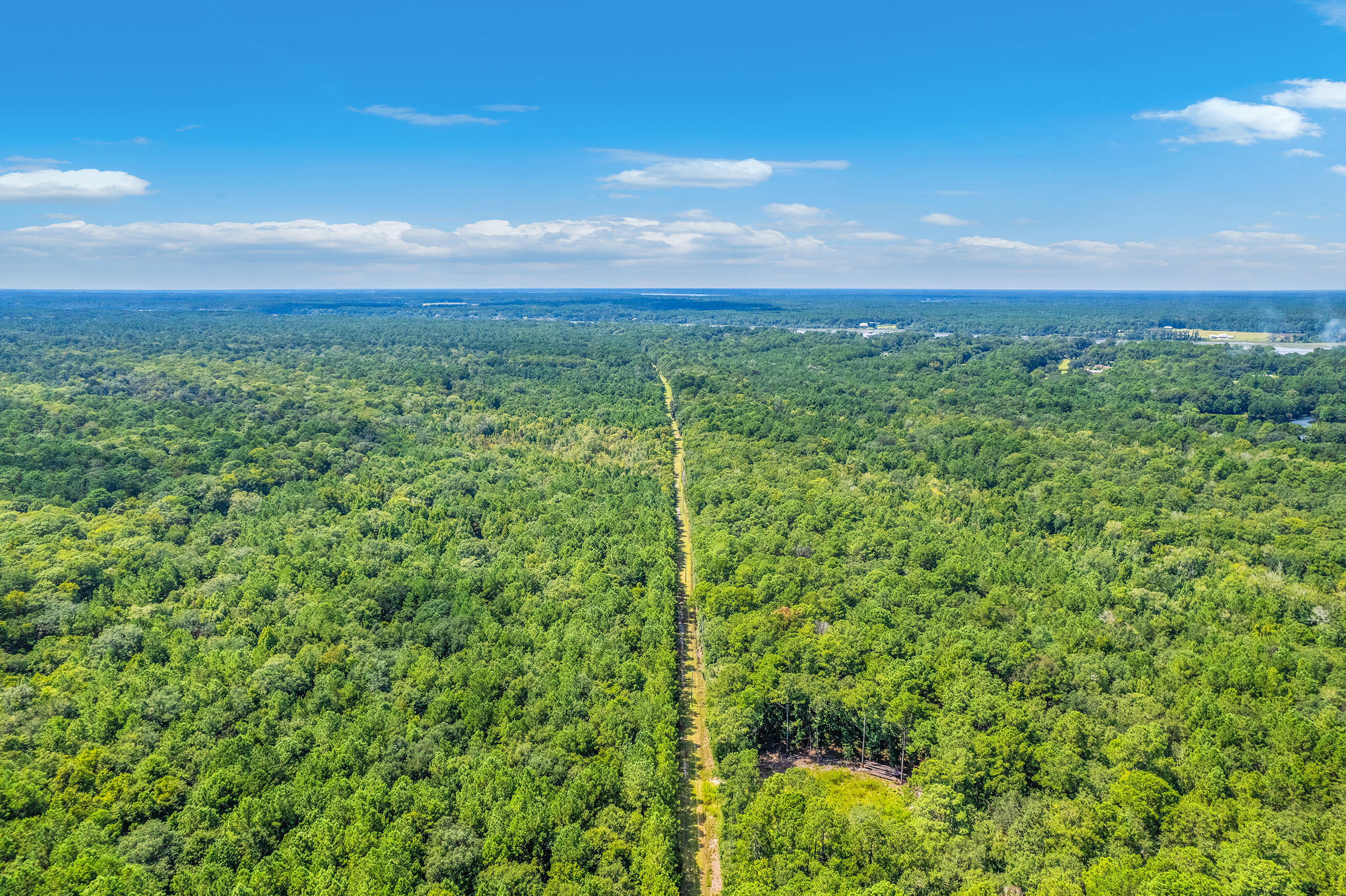 2 Shadow Pond Road Johns Island, SC 29455 - Photo 5 of 21 Zyndicate2433