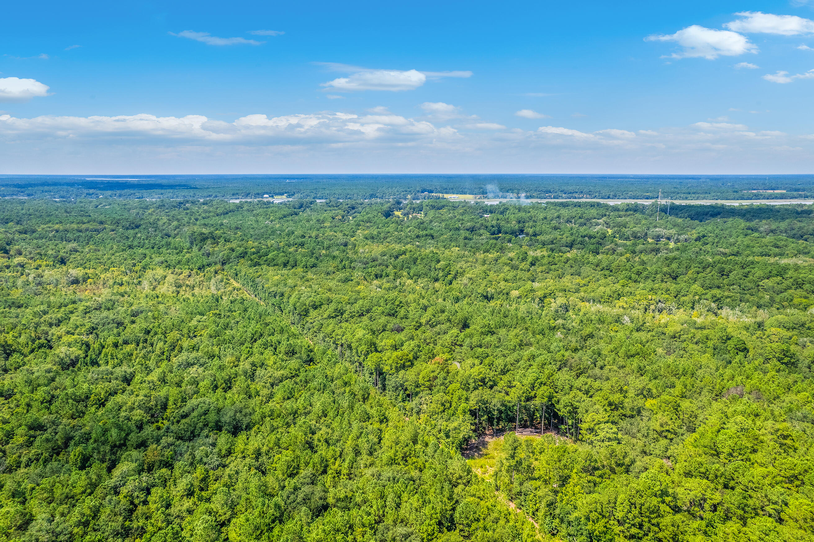 2 Shadow Pond Road Johns Island, SC 29455 - Photo 7 of 21 Zyndicate2434