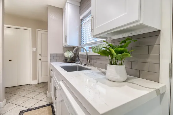 a close view of sink and a potted plant