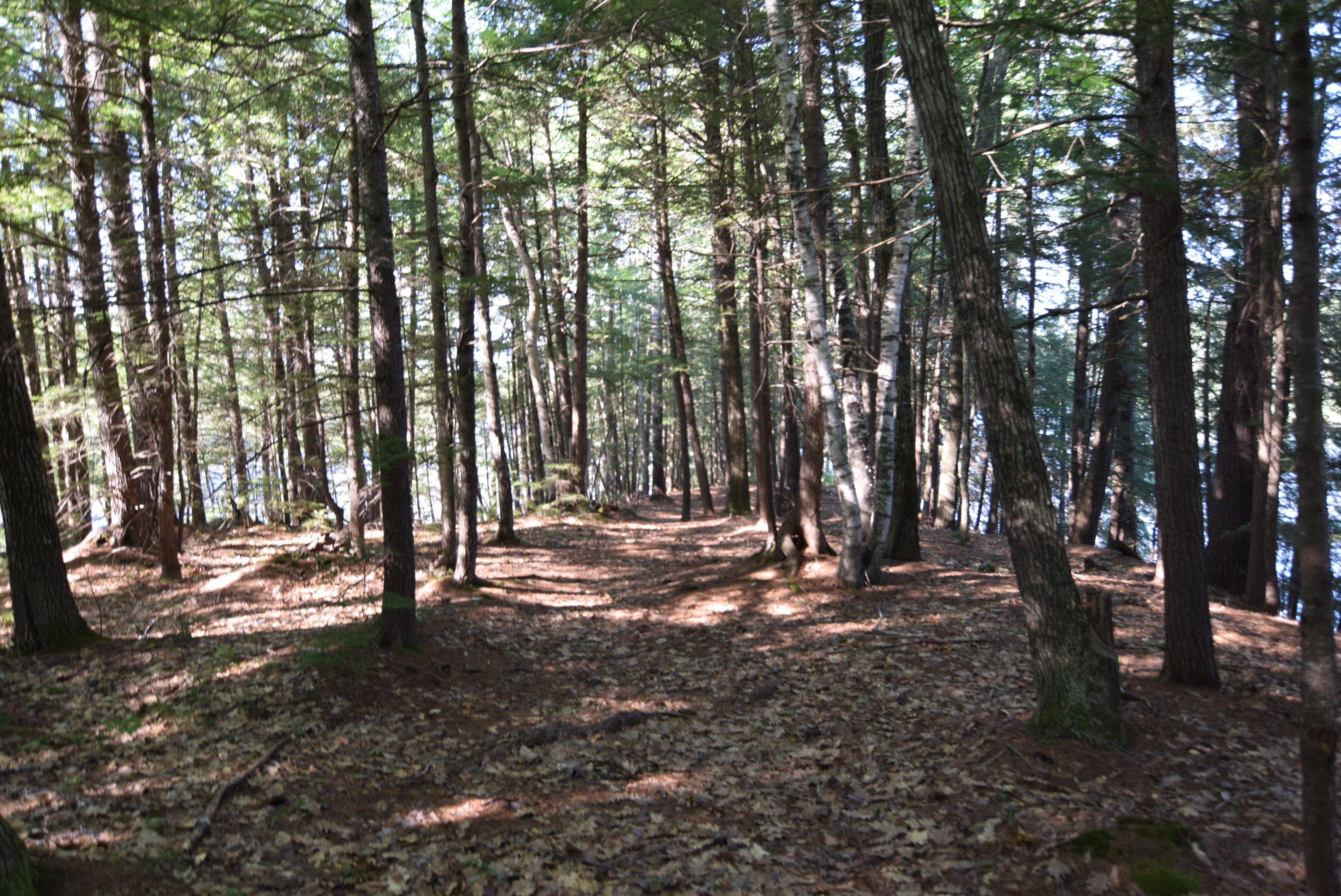 236 Chesterville Ridge Road Kents Hill, ME 04349 - Photo 28 of 41 28-island scenery