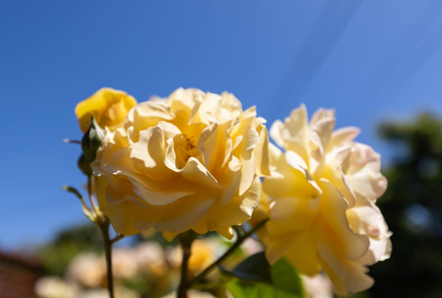 710-712 Riverview Drive Capitola, CA 95010 - Photo 30 of 37 a bathroom with a sink and a mirror