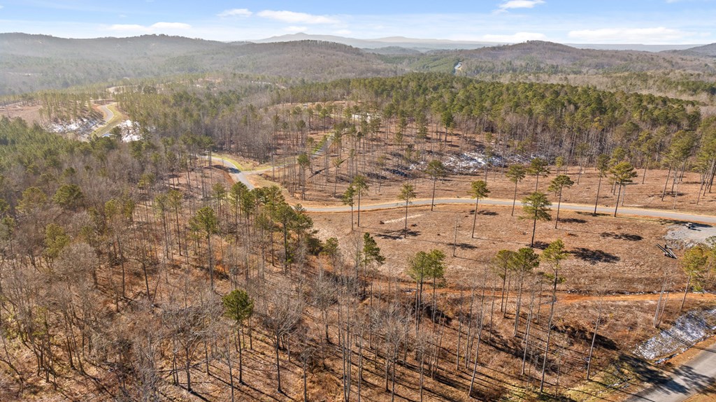 Lot 293 Twisted Oak Road Talking Rock, GA 30175 - Photo 3 of 46 Gallery Image 3