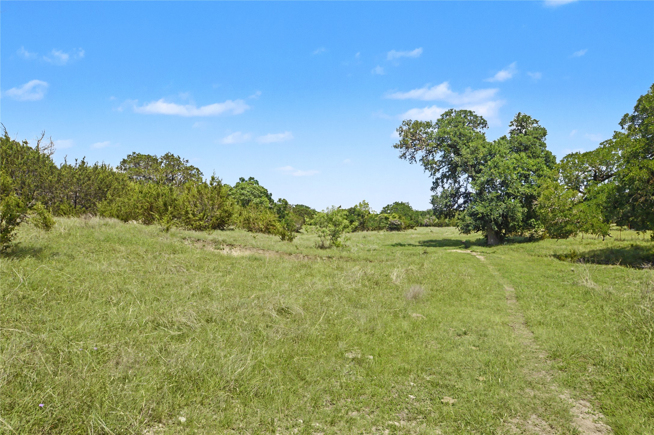 0 Cr 318 Road Goldthwaite, TX 76844 - Photo 29 of 37 a view of a lake with a yard