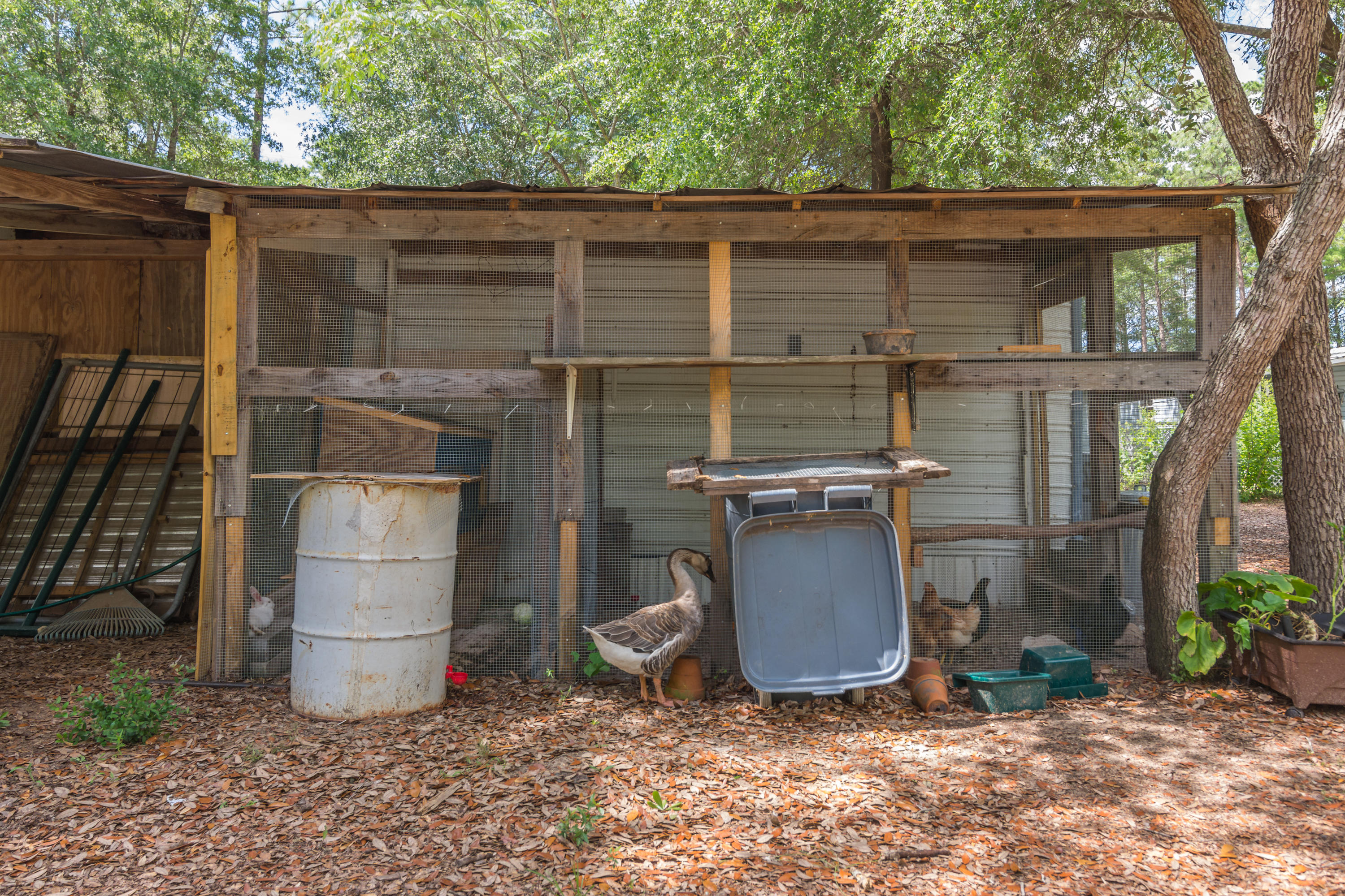 5564 Kervin Road Crestview, FL 32539 - Photo 42 of 45 Gallery Image 42