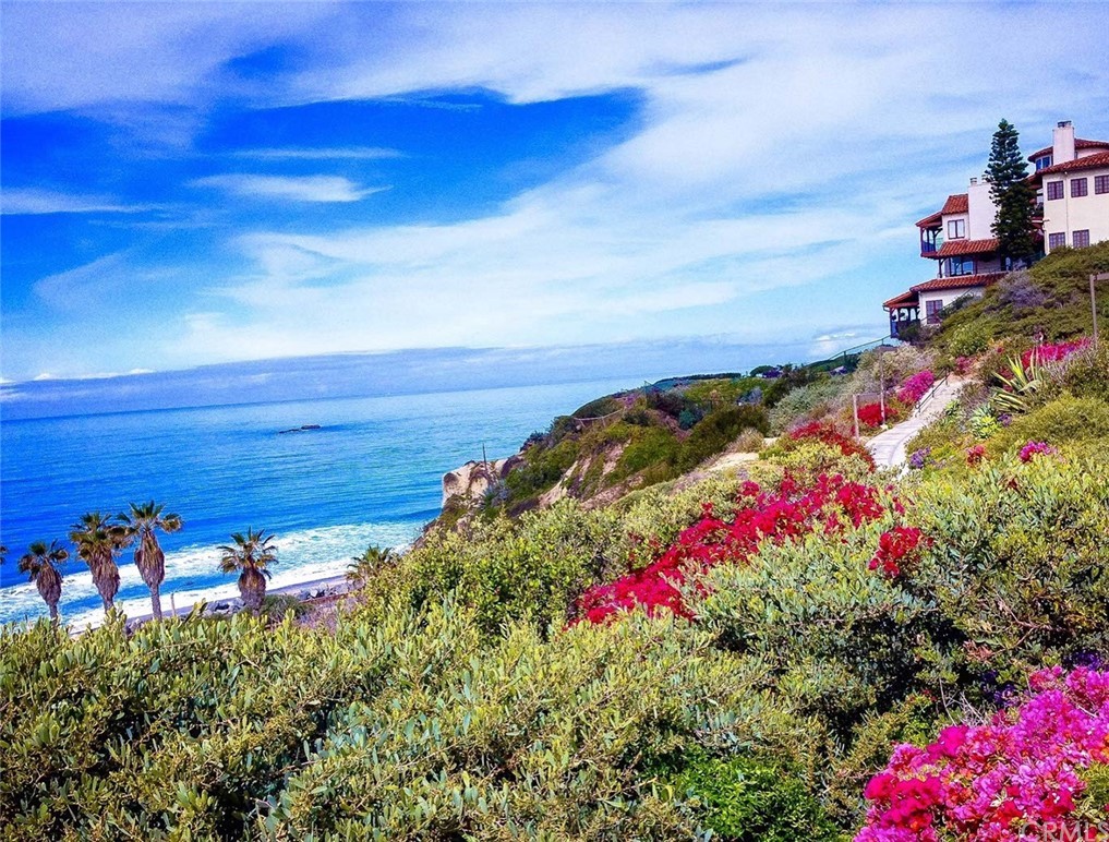 22 Calle Clasico San Clemente, CA 92673 - Photo 43 of 48