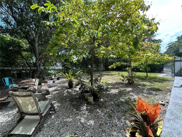 a view of a park with large trees