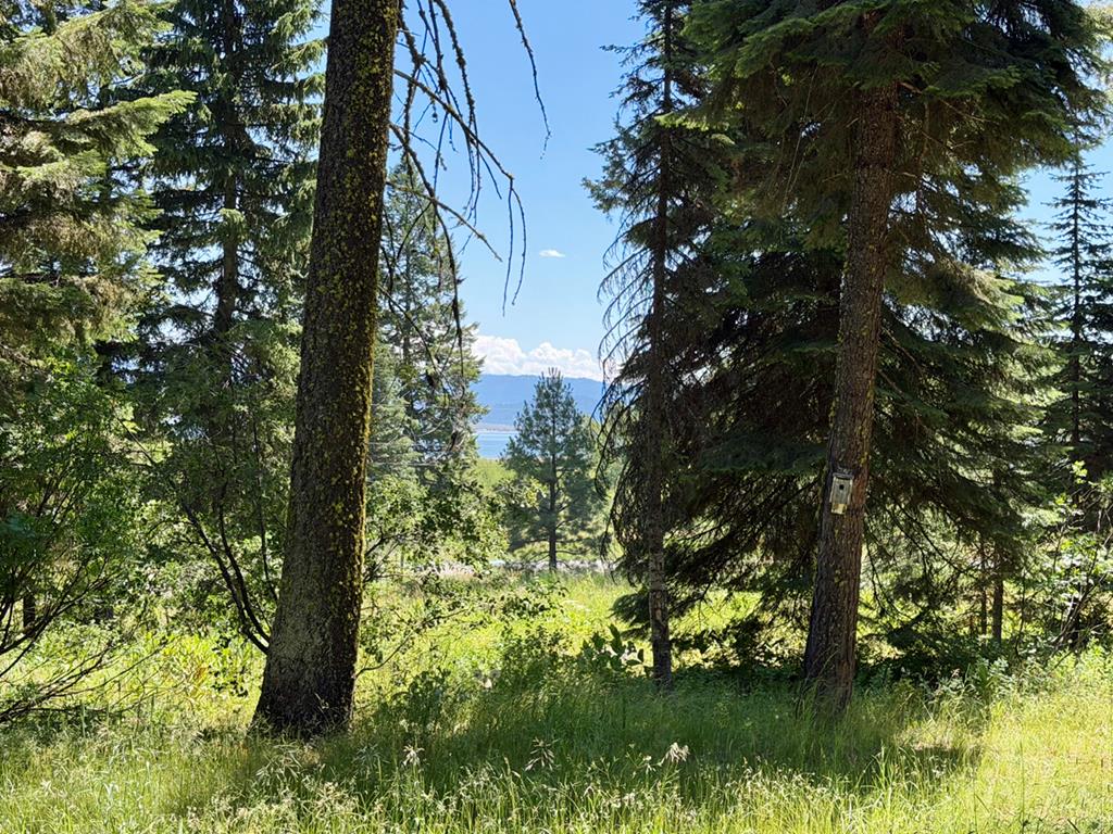 1610 Bear Trail Loop, Unit 3A16 Cascade, ID 83611 - Photo 1 of 10 Main View