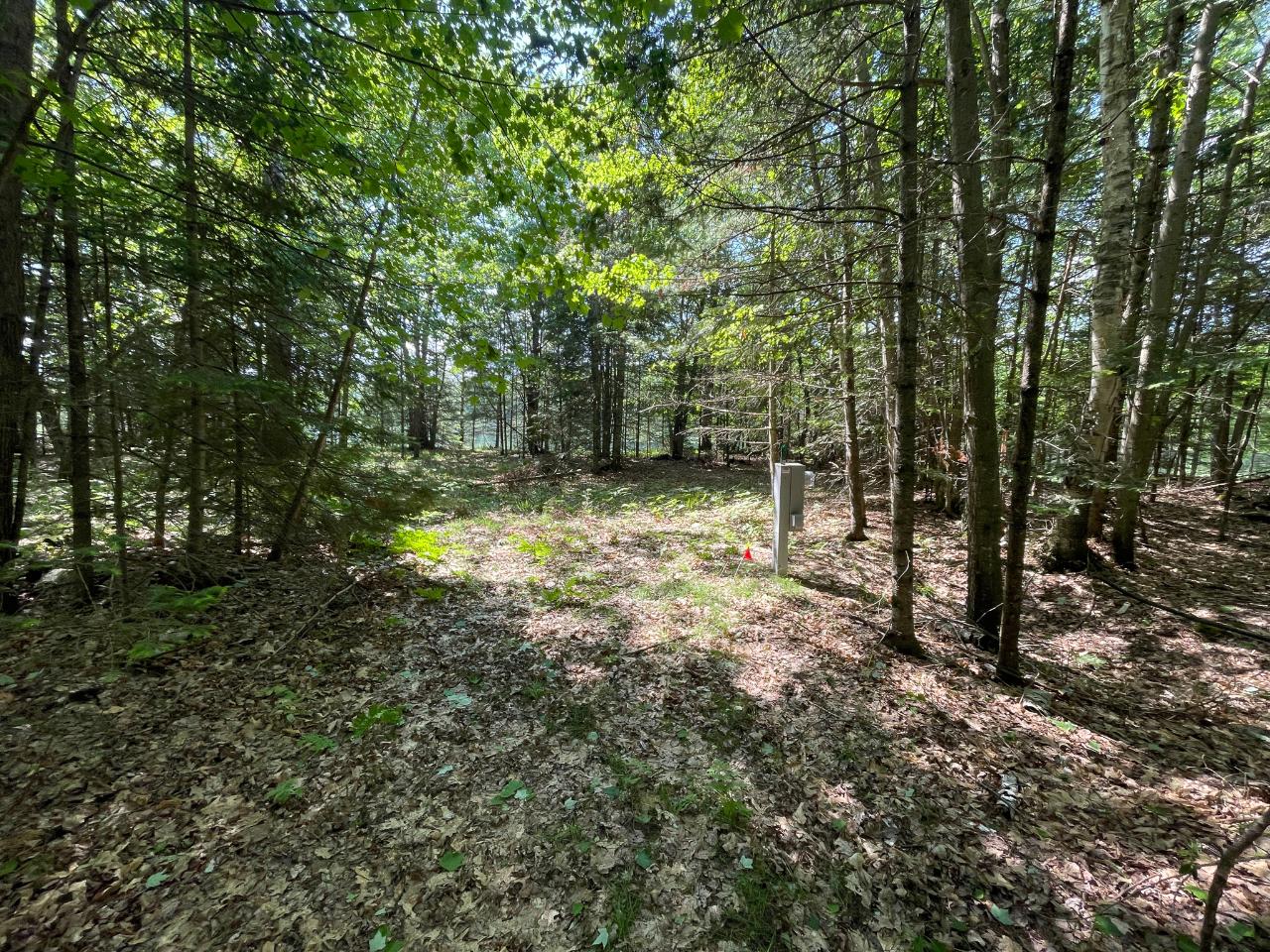 1207 South Little Bass Lake Road Eagle River, WI 54521 - Photo 15 of 47 Gallery Image 15
