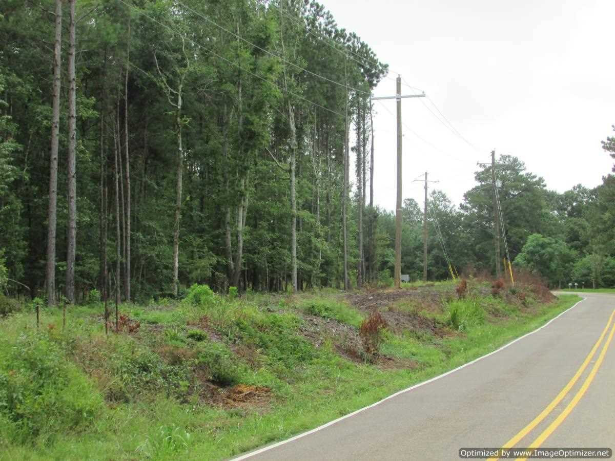 0 Old Rice Road, Unit NONE Canton, MS 39046 - Photo 4 of 17 Photo 4