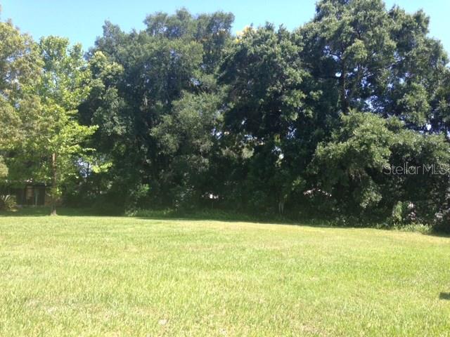 Oneida Mount Dora, FL 32757 - Photo 1 of 1 a view of yard with large trees