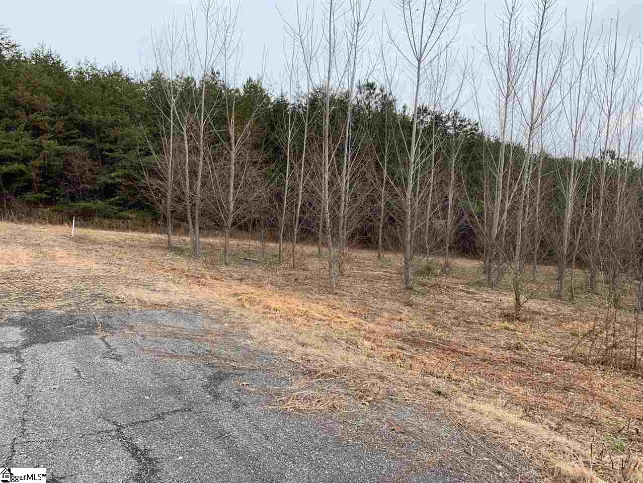 1185 Old Liberty Road Easley, SC 29640 - Photo 7 of 7
