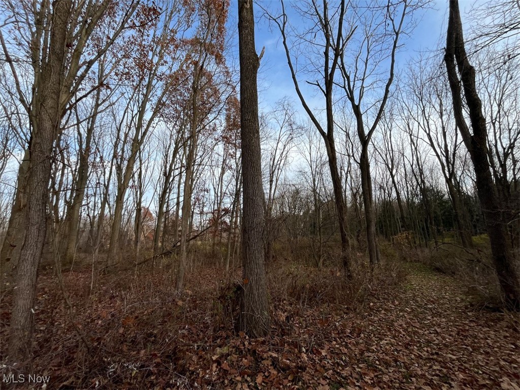 0 Harvey Circle Rittman, OH 44270 - Photo 14 of 35 View of tree filled area