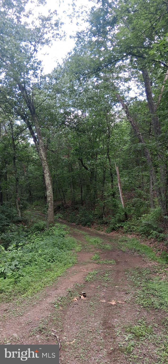 234 Coastline Road Clearville, PA 15535 - Photo 17 of 39