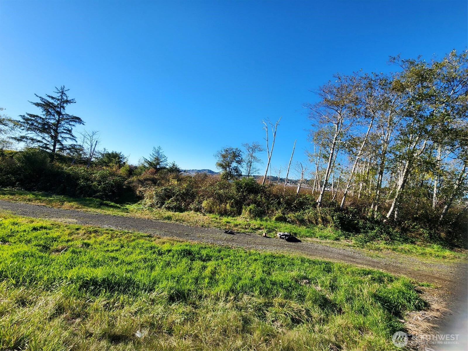 300 West Front Street Aberdeen, WA 98520 - Photo 9 of 9 a view of a park