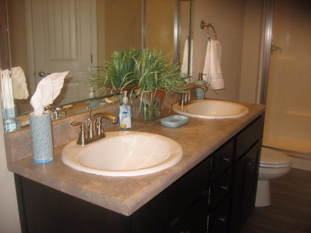 16694 Tyson Drive Foley, AL 36535 - Photo 5 of 5 master bath in model