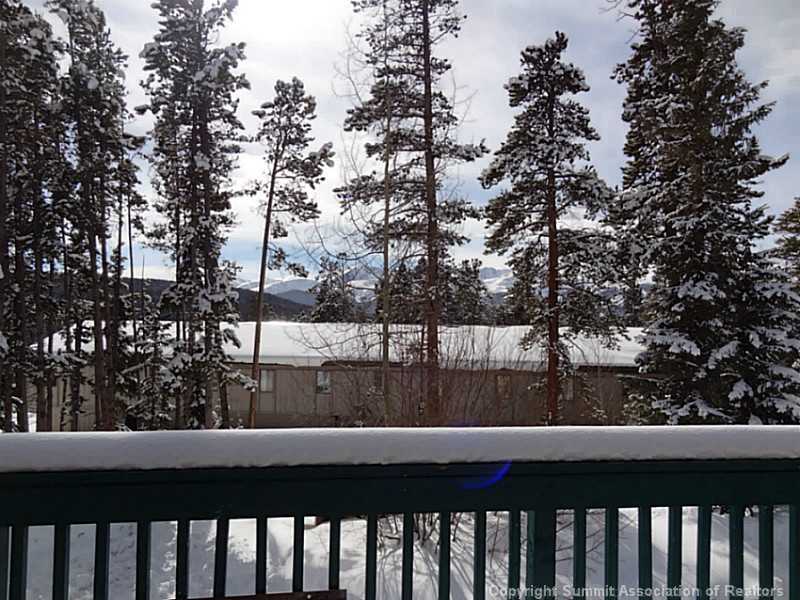 166 Fuller Placer Road, Unit 3 Breckenridge, CO 80424 - Photo 4 of 8 Exterior Front.