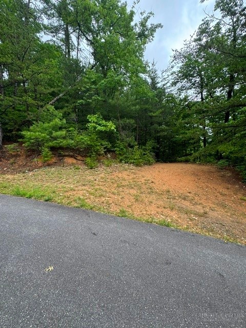 35-36 Big Sky Road Ferguson, NC 28624 - Photo 9 of 23 a view of a yard with a tree