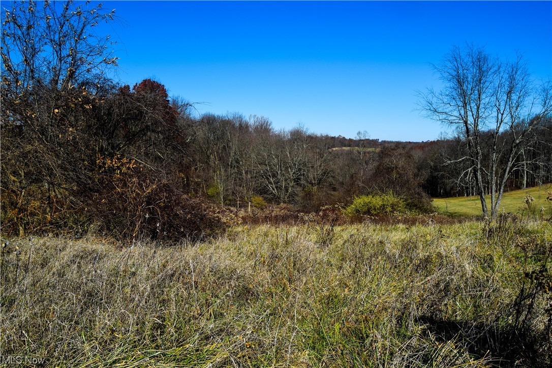 70068 Hopewell Road Kimbolton, OH 43749 - Photo 9 of 13 View of mother earth's splendor