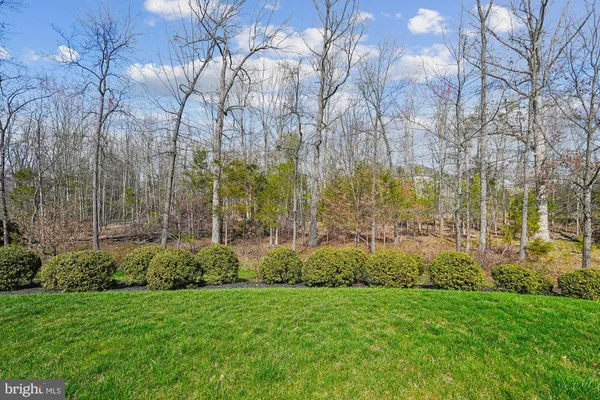 a view of backyard with green space