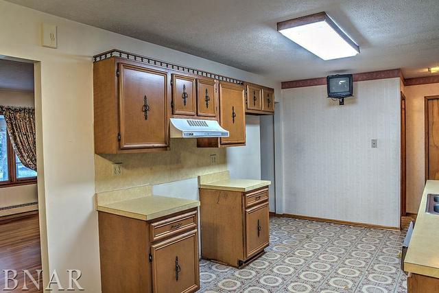 12825 Solomon Road Dewitt, IL 61735 - Photo 14 of 28
