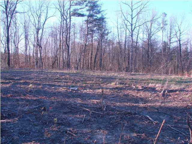 3000 Big Fork Road Signal Mountain, TN 37377 - Photo 6 of 8 Additional Photo
