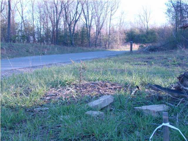 3000 Big Fork Road Signal Mountain, TN 37377 - Photo 8 of 8 Additional Photo