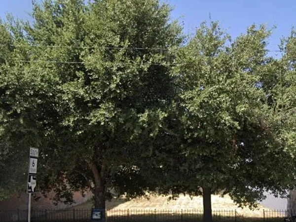 $60,000 | 703-705 South Main Street, Calvert, TX 77837