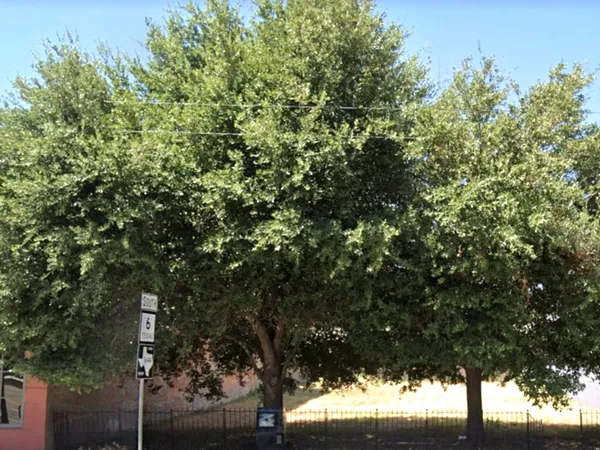 $60,000 | 703-705 South Main Street, Calvert, TX 77837