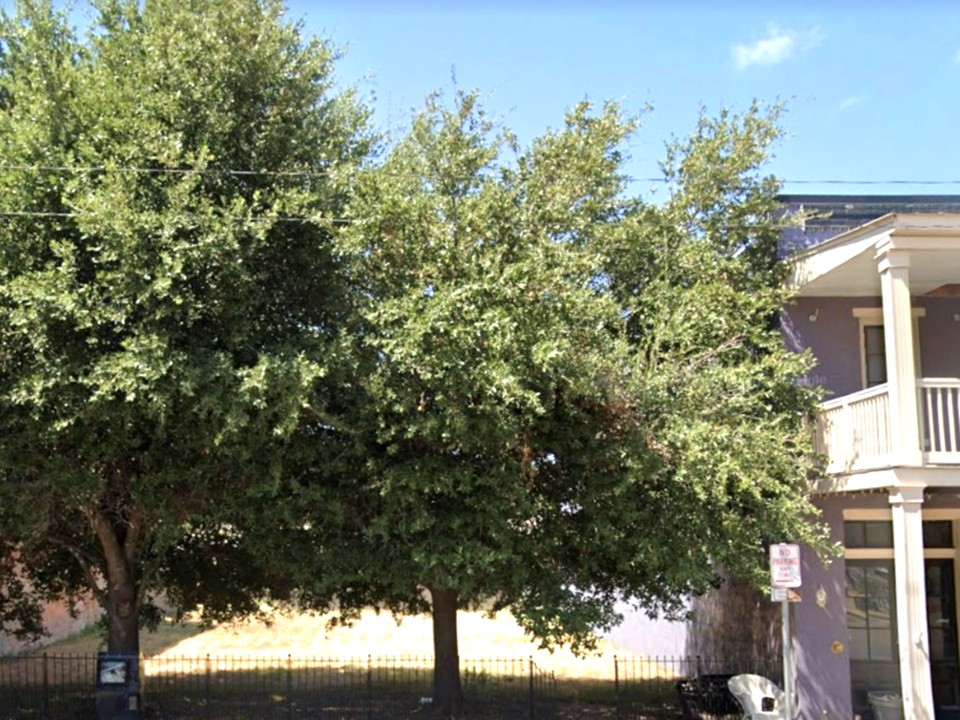 703-705 South Main Street Calvert, TX 77837 - Photo 4 of 12