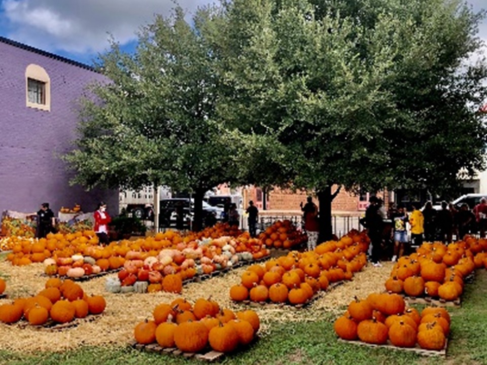 703-705 South Main Street Calvert, TX 77837 - Photo 5 of 12