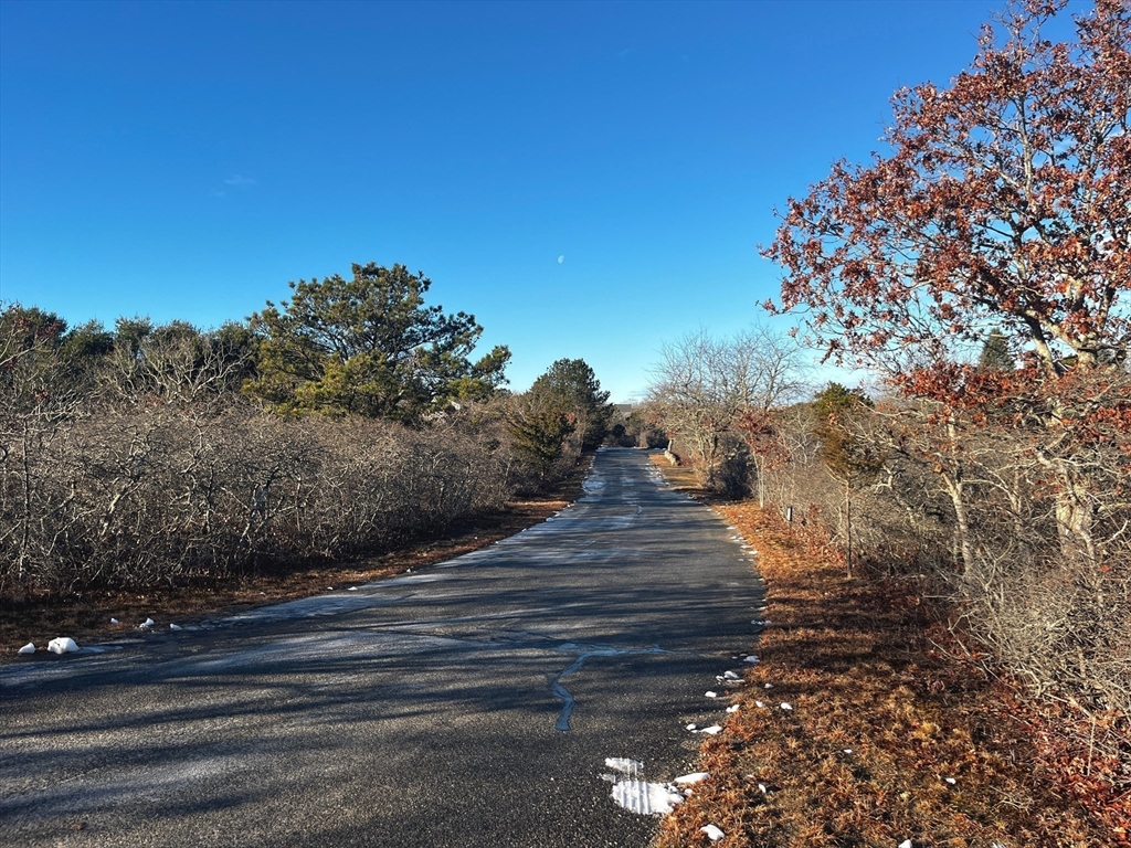 25 Coffins Field Road Edgartown, MA 02539 - Photo 2 of 4 a view of a yard