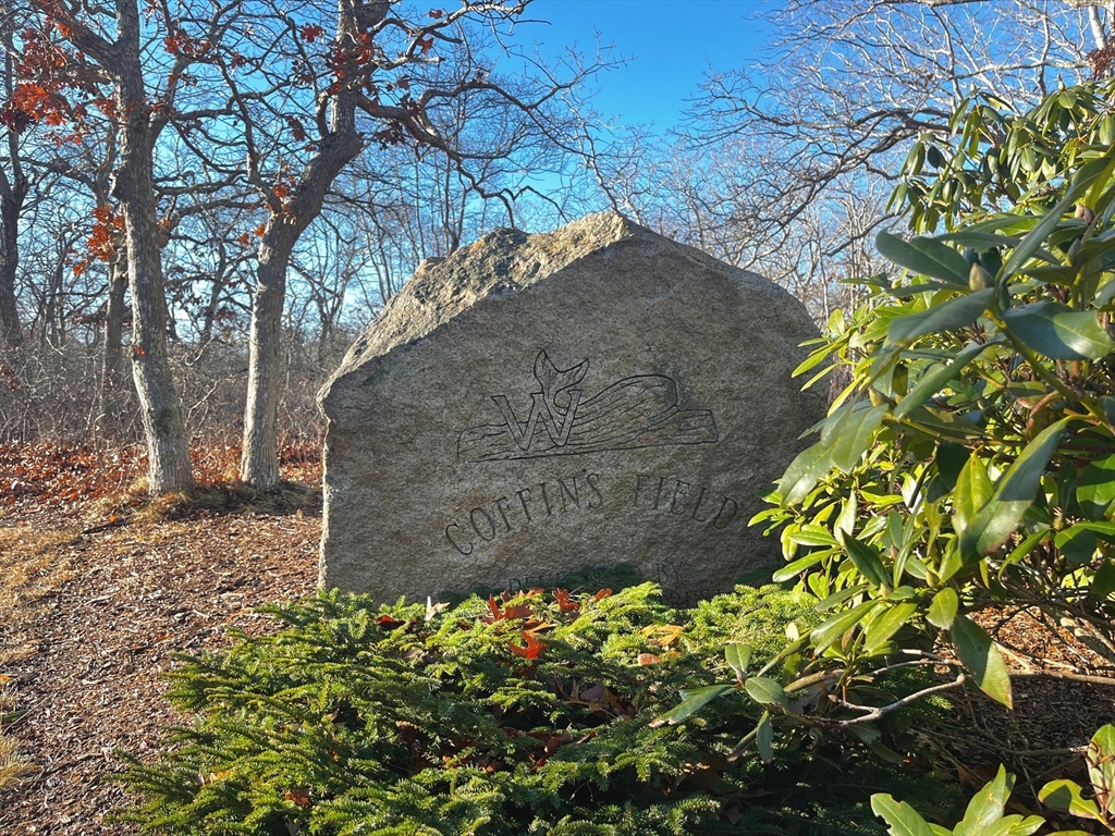 25 Coffins Field Road Edgartown, MA 02539 - Photo 3 of 4 a view of a garden with plants