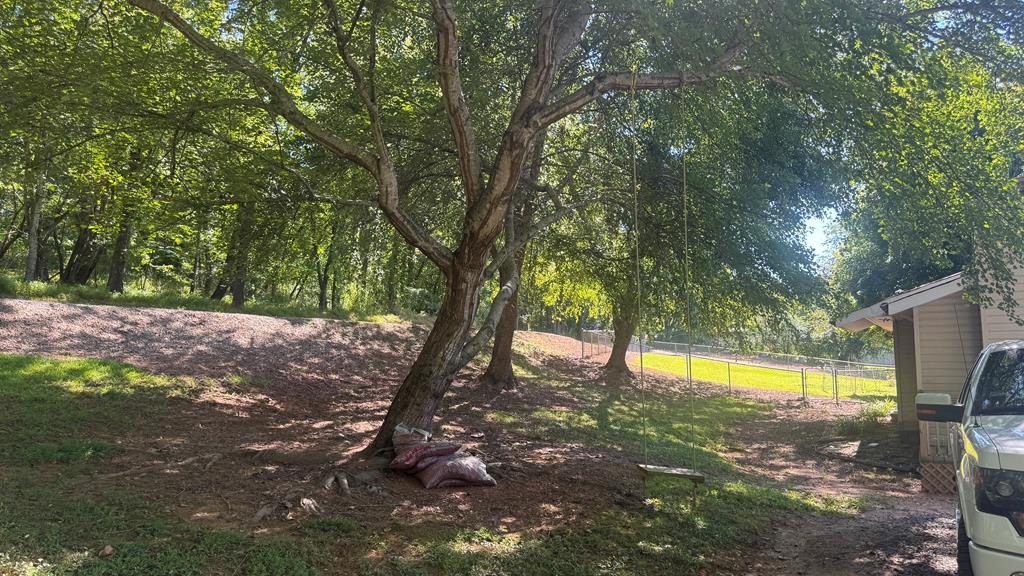 903 Village Road Hiawassee, GA 30546 - Photo 55 of 59