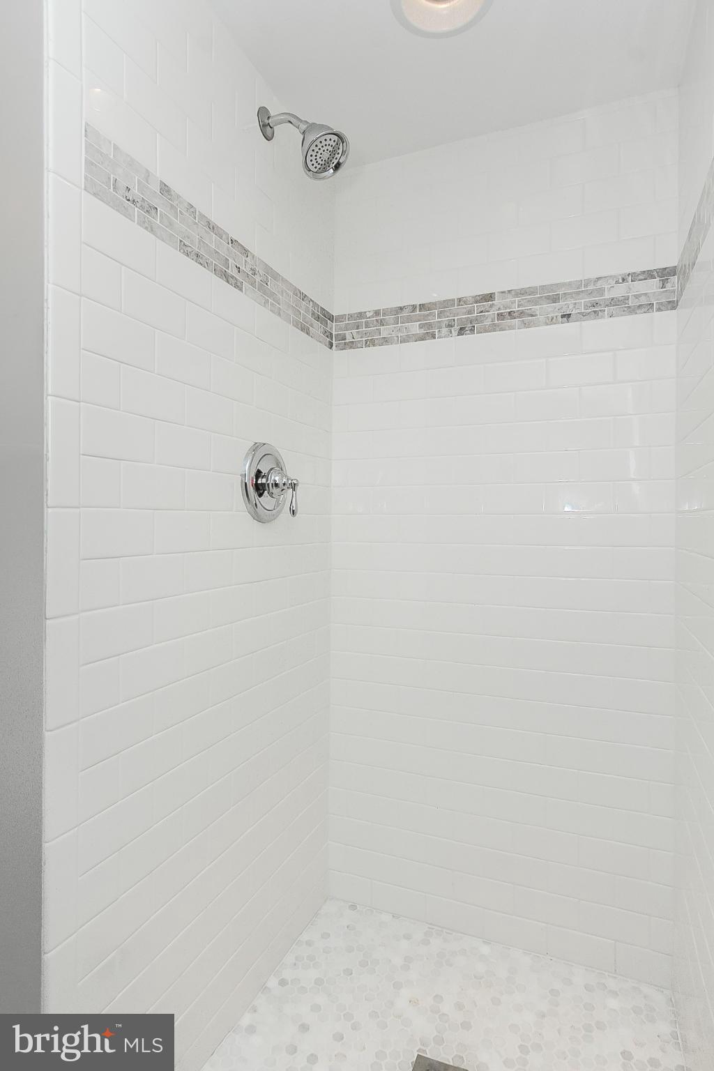 8502 Pleasant Plains Road Towson, MD 21286 - Photo 23 of 26 Custom tile shower