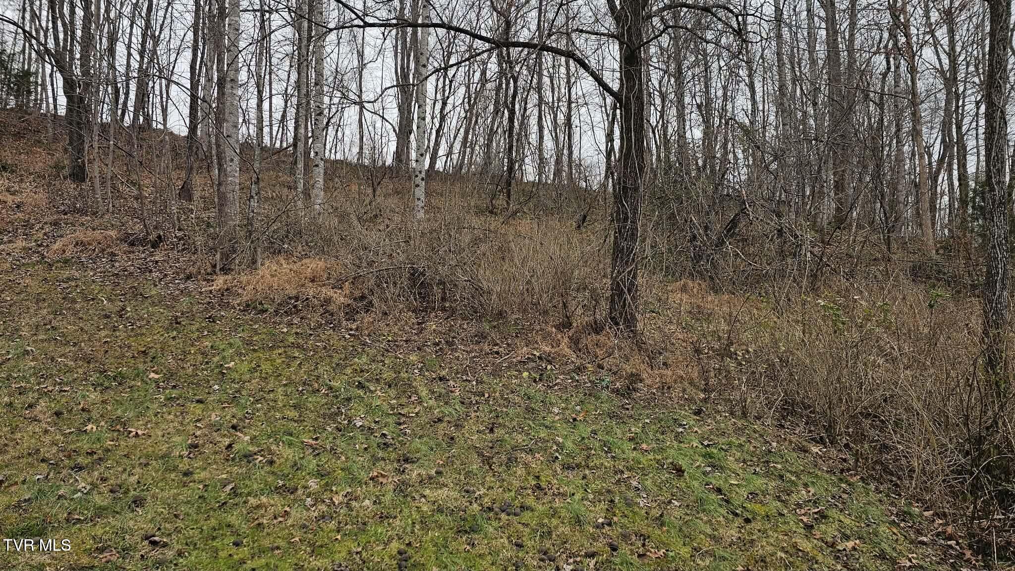 598 Hortons Summit Road Duffield, VA 24244 - Photo 6 of 24 6