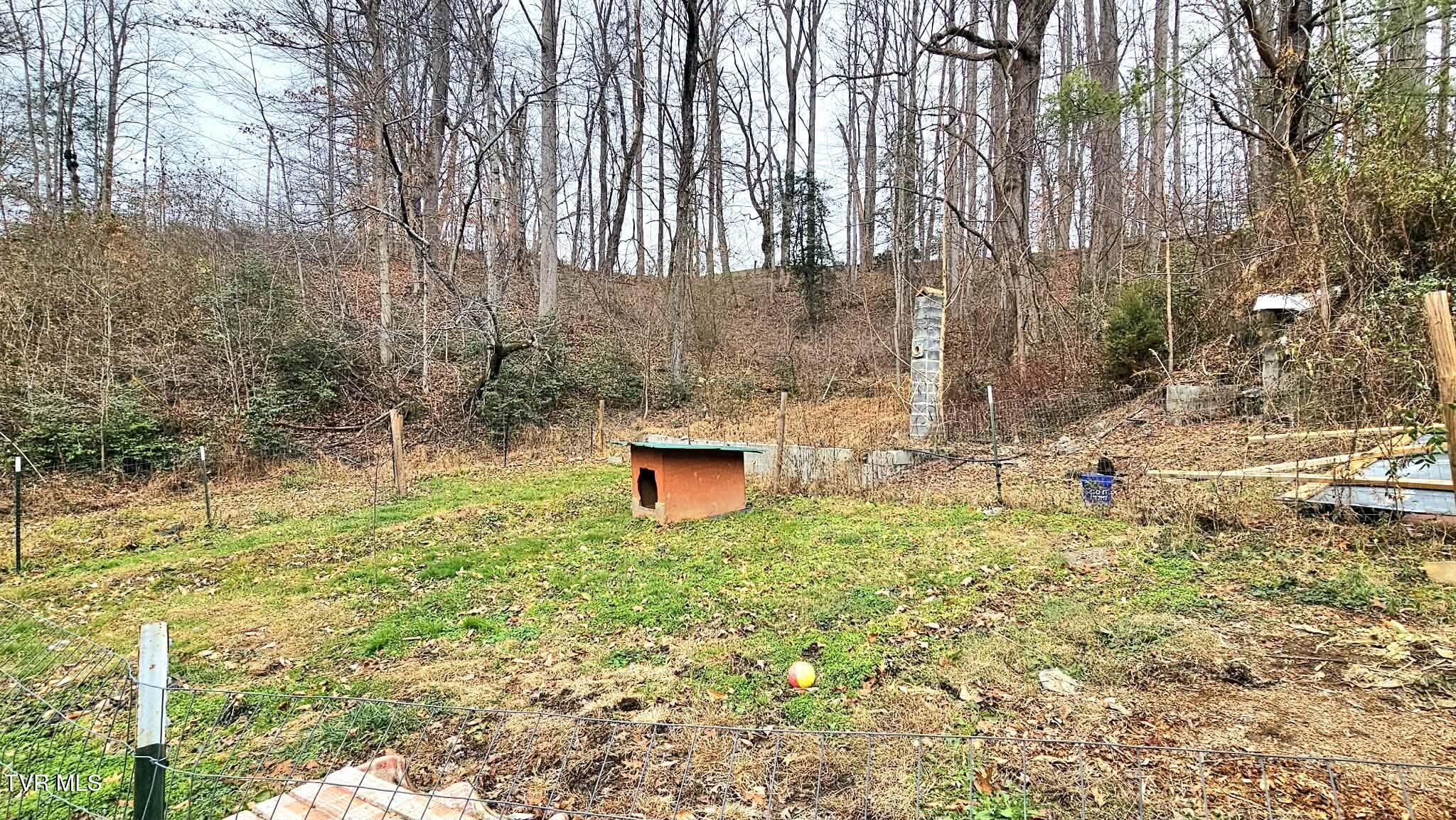 598 Hortons Summit Road Duffield, VA 24244 - Photo 7 of 24 7