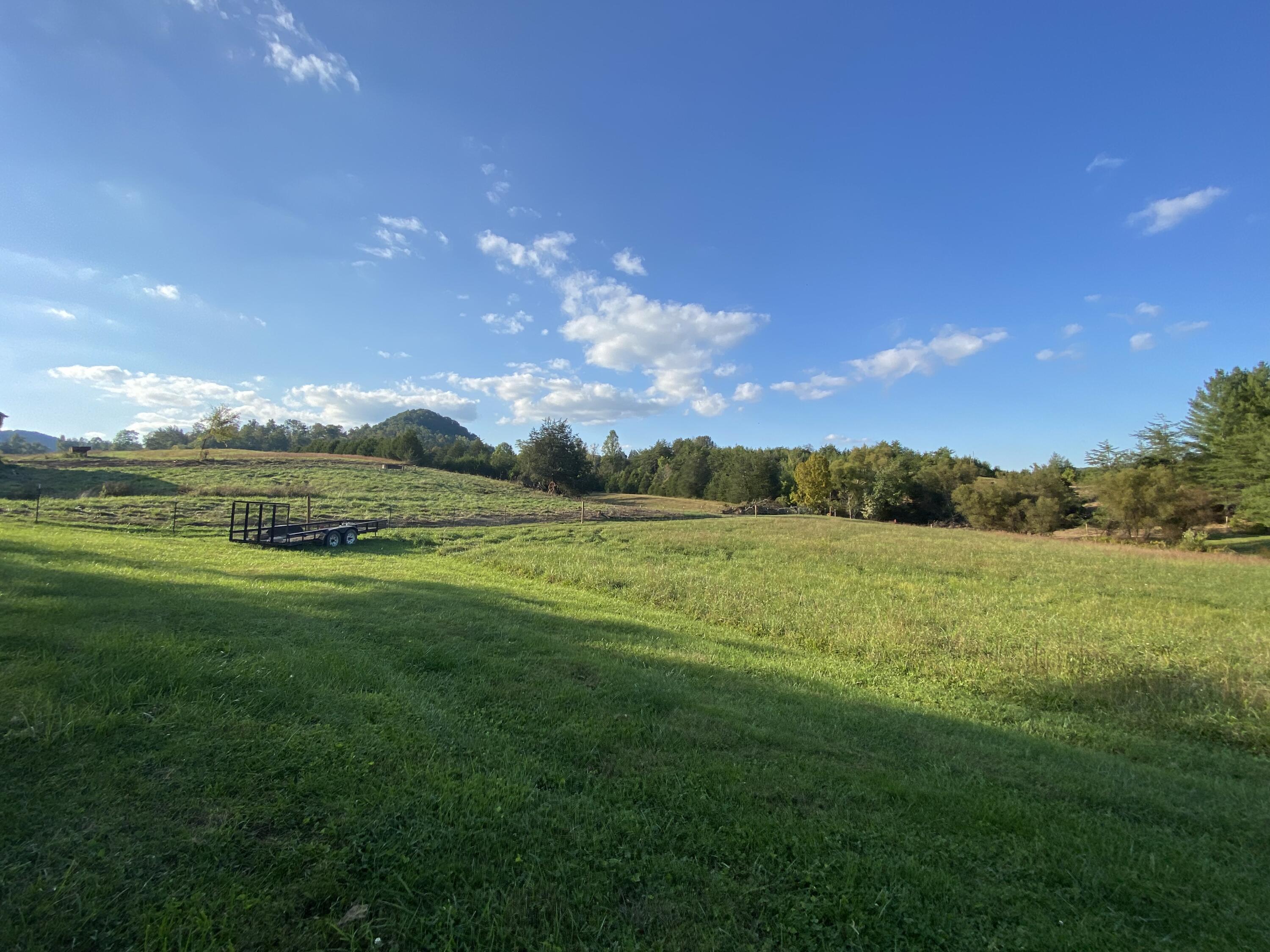3444 Willow Tree Road Ewing, VA 24248 - Photo 36 of 40 Beautiful fields with new fence