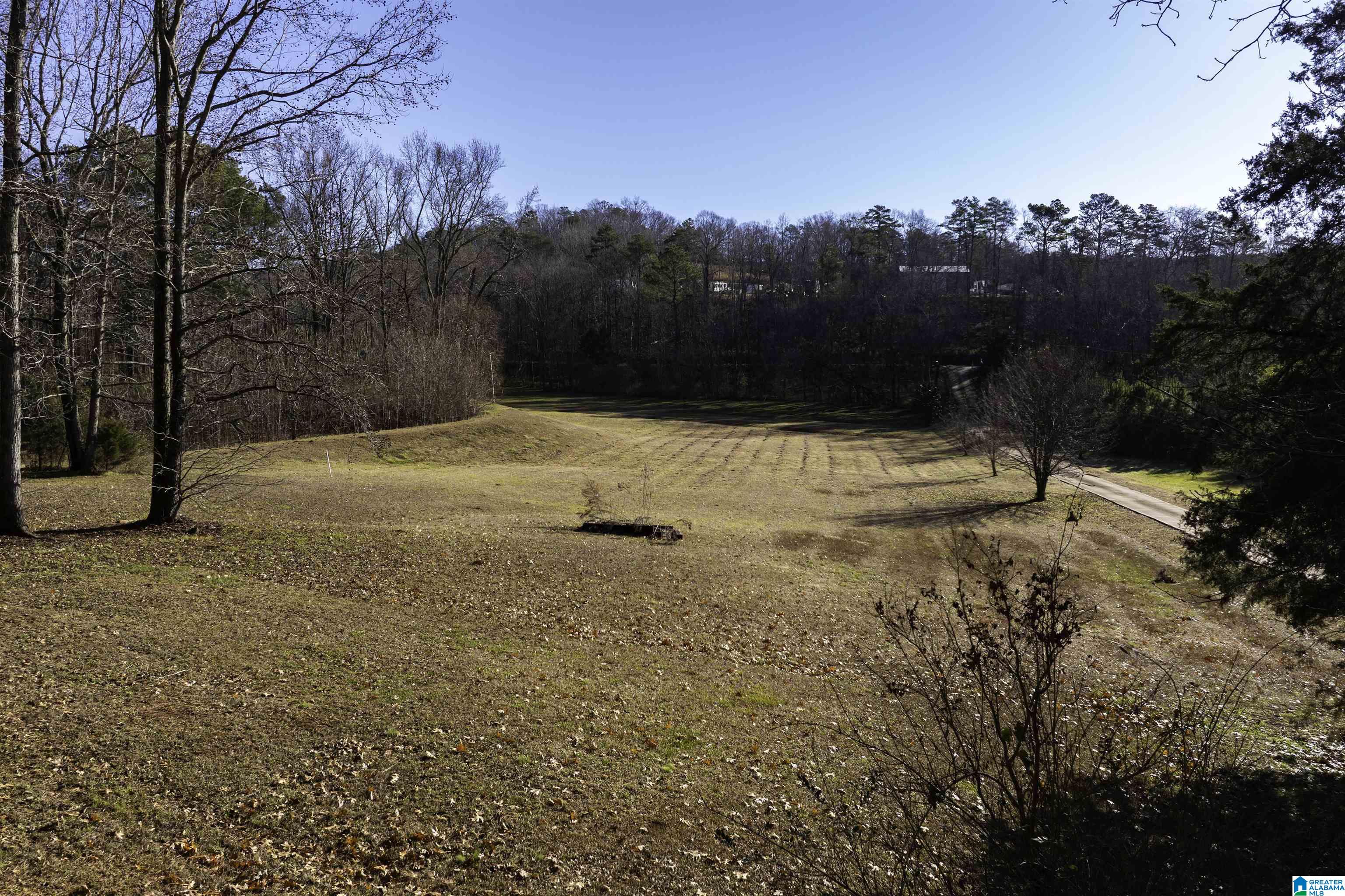 1775 Red Valley Road Remlap, AL 35133 - Photo 1 of 56