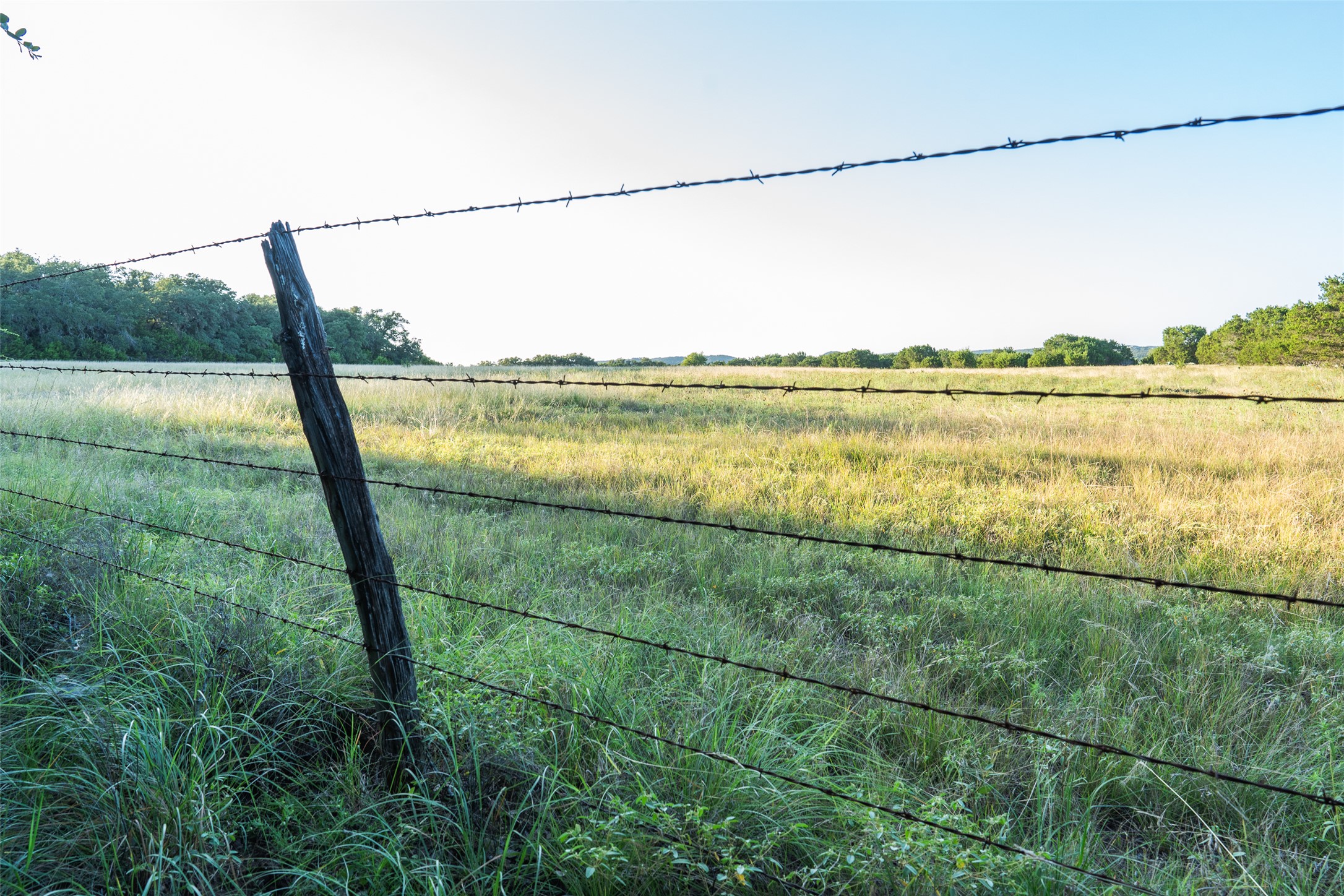Tbd Crabapple Road Blanco, TX 78606 - Photo 4 of 17