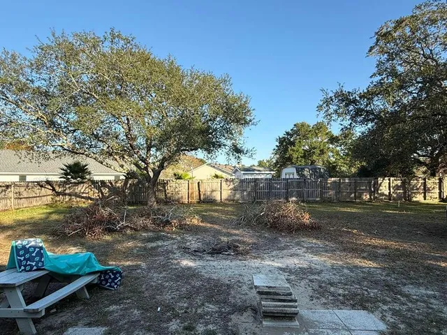 a view of a backyard with large trees